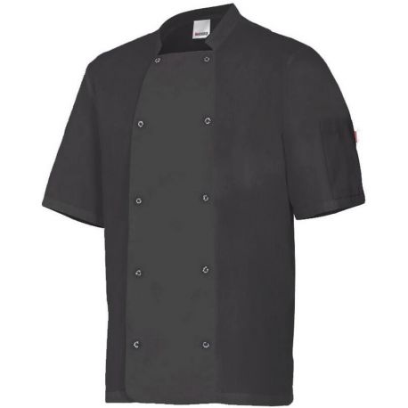 Veste de cuisinier manches courtes col officier avec boutons pression, 175 g/m²