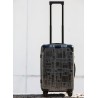Sac de voyage Trolley cabine 4 roues multidirectionnelles, 60 litres