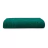 Serviette de bain coton doux, 70 x 140 cm, grande capacité d'absorption, 450 g/m²
