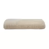 Serviette de toilette coton doux, 50 x 100 cm, grande capacité d'absorption, 450 g/m²