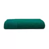 Serviette de toilette coton doux, 50 x 100 cm, grande capacité d'absorption, 450 g/m²