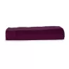 Serviette de plage en coton doux absorbant, 100 x 180 cm, 450 g/m²