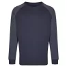 Sweat-shirt homme manches raglan en coton ringspun, coupe classique, 300 g/m²