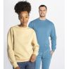 Sweat unisexe col rond, intérieur gratté, en polyester et coton, 290 g/m²