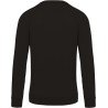 Sweat-shirt homme set-in bio et no label, manches raglan, 300 g/m²