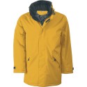 Parka homme avec capuche dans le col, doublure matelassée
