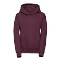 Sweat-shirt à capuche enfant moderne molletonné, 295 g/m²