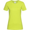 Tee-shirt femme col rond coupe ajustée manches courtes, 155 g/m²