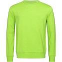 Sweat-shirt set in brossé à l'intérieur coupe droite NO LABEL, 270 g/m²